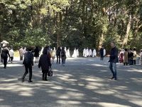 Besichtigung des Mejji Schrein - Tokio