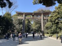 Besichtigung des Mejji Schrein - Tokio