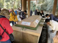 Besichtigung des Mejji Schrein - Tokio