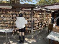 Besichtigung des Mejji Schrein - Tokio