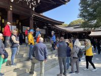 Besichtigung des Mejji Schrein - Tokio