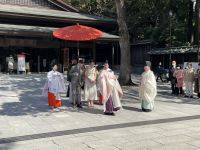 Besichtigung des Mejji Schrein - Tokio