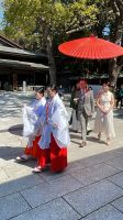 Besichtigung des Mejji Schrein - Tokio