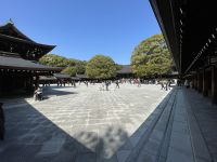 Besichtigung des Mejji Schrein - Tokio