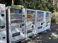 japanische Getränkeautomaten am Mejji Schrein - Tokio