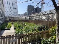 Mittagspause in Ginza - Tokio