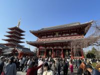 Besichtigung des buddhistischen Kannon Tempel - Asakusa-Schrein
