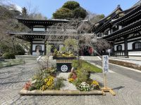 Kamakura - Hasedera Tempel