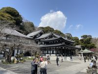 Kamakura - Hasedera Tempel