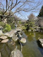 Kamakura - Hasedera Tempel