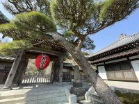 Kamakura - Hasedera Tempel