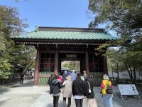 Kamakura - Großer Buddha