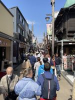 Spaziergang durch Hakone