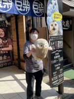 Spaziergang durch Hakone