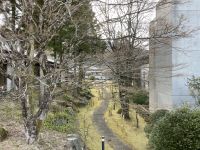 Yunohana Prince Hotel - Hakone