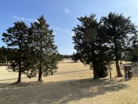 Yunohana Prince Hotel - Hakone