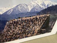 Besichtigung des historischen Dorfes Shirakawago