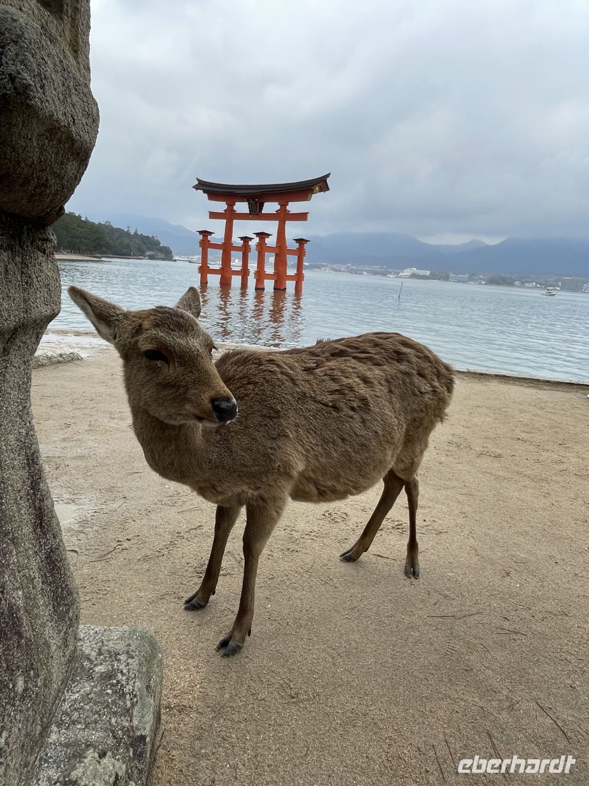 Rundgang auf Miyajima Island 