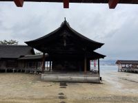 Rundgang auf Miyajima Island 