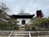 Rundgang auf Miyajima Island 