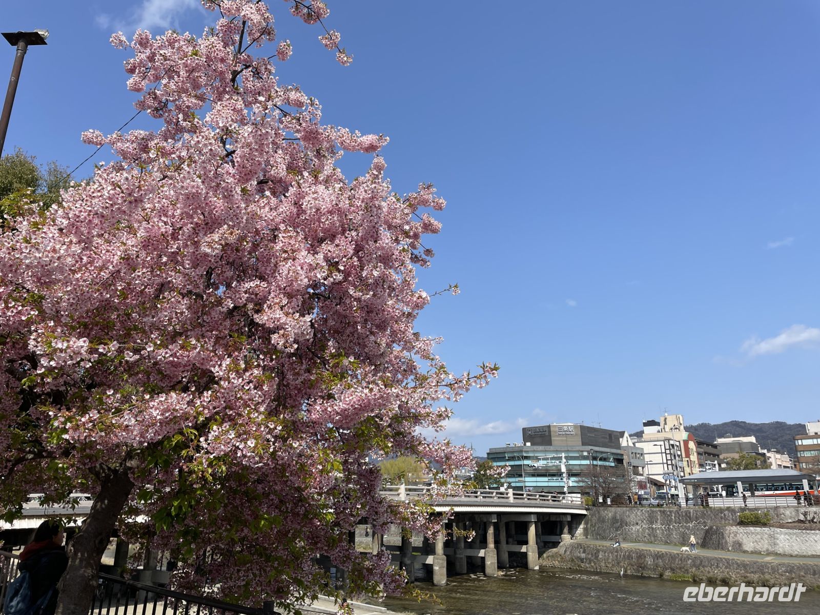 Spaziergang durch Kyoto