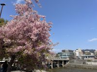 Spaziergang durch Kyoto