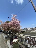 Spaziergang durch Kyoto