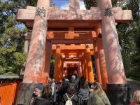 Schreine der 1000 Tore - Fushimi Inari Taisha