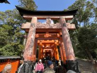 Schreine der 1000 Tore  - Fushimi Inari Taisha