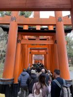 Schreine der 1000 Tore  - Fushimi Inari Taisha