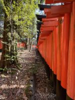 Schreine der 1000 Tore - Fushimi Inari Taisha