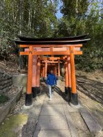 Schreine der 1000 Tore - Fushimi Inari Taisha