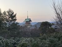 Kyoto - Kodai-ji Zen Temple