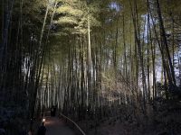 Kyoto - Kodai-ji Zen Temple mit Licht Illumination