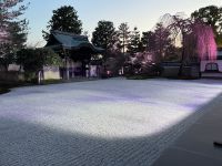 Kyoto - Kodai-ji Zen Temple mit Licht Illumination