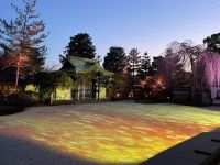 Kyoto - Kodai-ji Zen Temple mit Licht Illumination