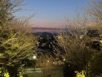 Kyoto - Kodai-ji Zen Temple mit Licht Illumination