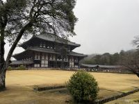 Ausflug nach Nara - Todaiji-Tempel 