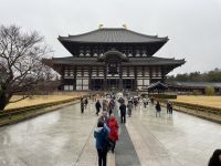 Ausflug nach Nara - Todaiji-Tempel 