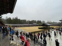 Ausflug nach Nara - Todaiji-Tempel 