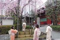 im Garten der Tempelanlage