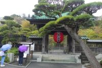 Kamakura, Hasedera-Tempel im Regen