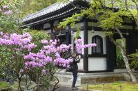 Hasedera-Tempel