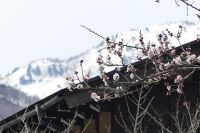 Winter und Frühling