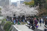 Hiroshima, Friedenspark