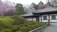 Ryoanji-Tempel