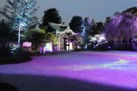  Kyoto, Kodaiji Zen Tempel mit Illuminationen