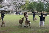 in Nara