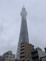 Tag 2 - Skytree in Tokio 