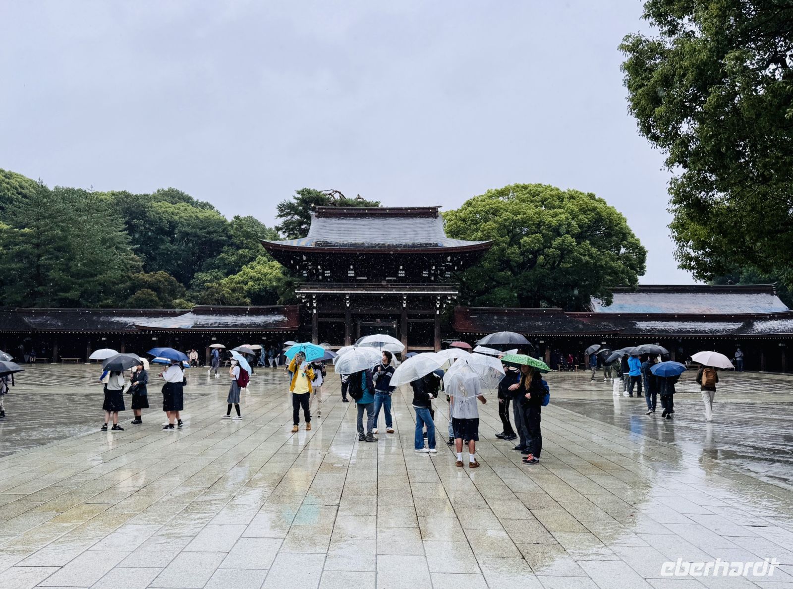 Tag 3 - Meiji-Schrein